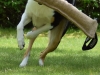 138318219_221237312869114_8853855371201183484_n